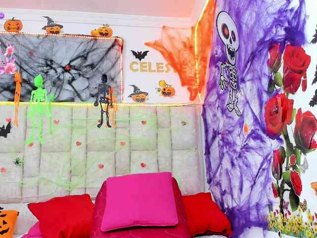 Celeste-Linco webcam