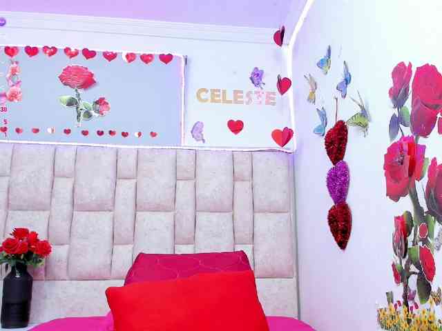 Celeste-Linco webcam