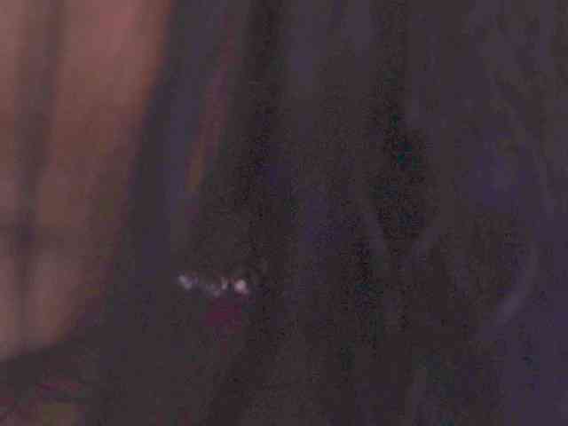 NiaPratt webcam