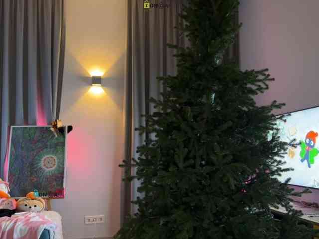 LissaSkarlet LissaSkarlet