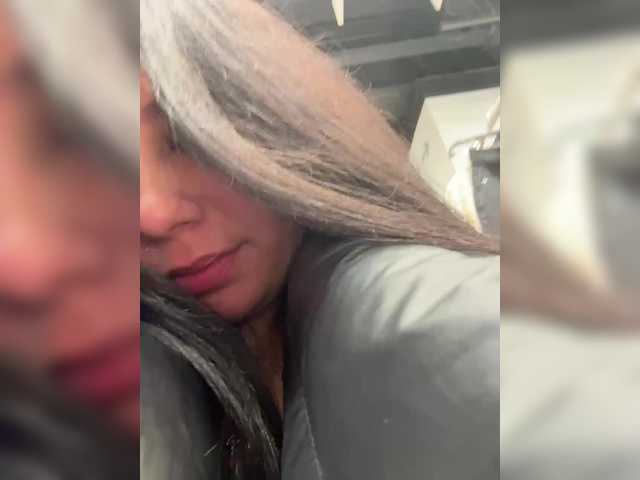 -Wild-Cat-'s BongaCams show and profile