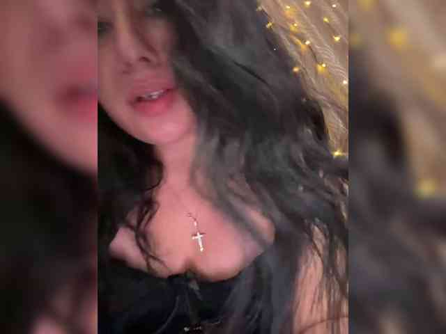 -Wild-Cat- -Wild-Cat-