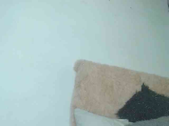 anni-jones webcam