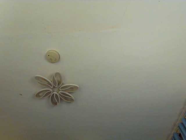 xxTrexie18's BongaCams show and profile