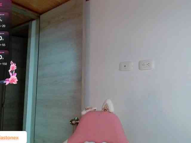 meridastone webcam
