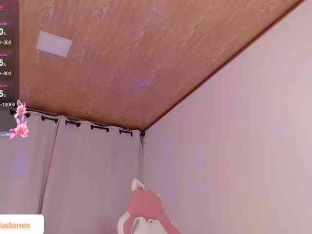 meridastone webcam