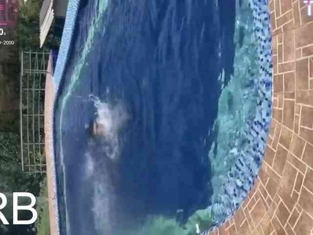 meridastone meridastone