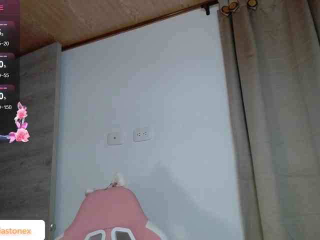 meridastone webcam