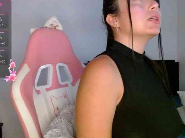 meridastone webcam