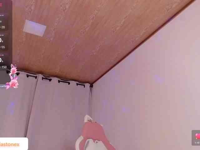 meridastone webcam