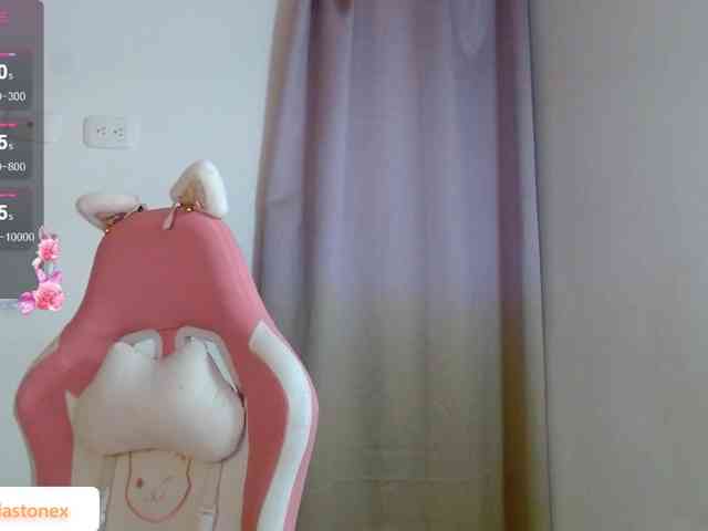 meridastone webcam