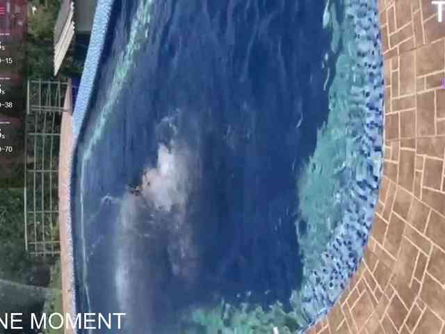 meridastone meridastone