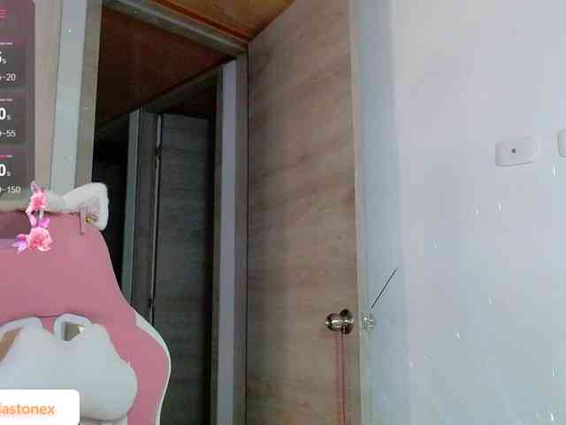meridastone webcam