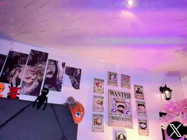 Aryrouse webcam