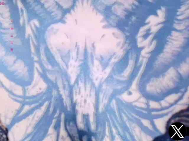 Aryrouse webcam