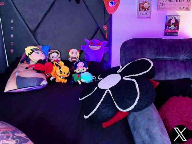 Aryrouse webcam