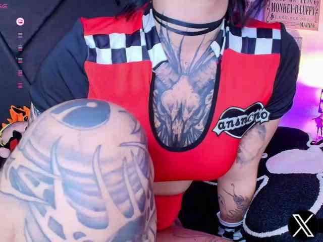 Aryrouse webcam