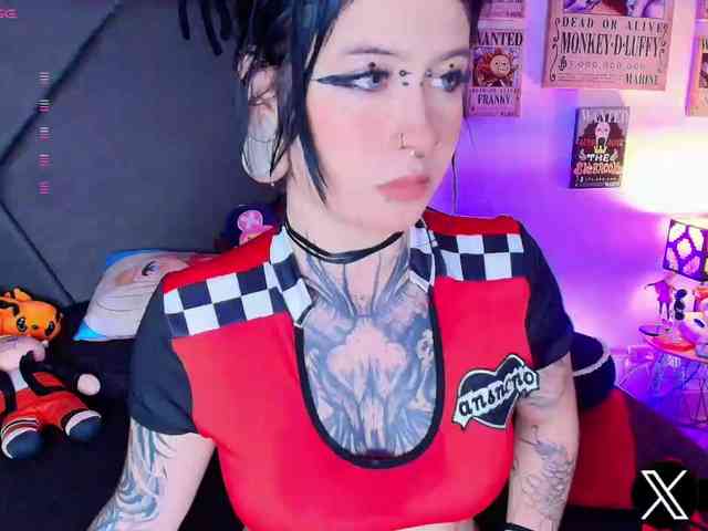 Aryrouse webcam