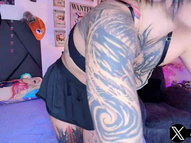 Aryrouse webcam