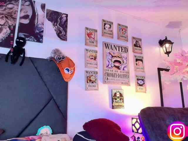 Aryrouse webcam