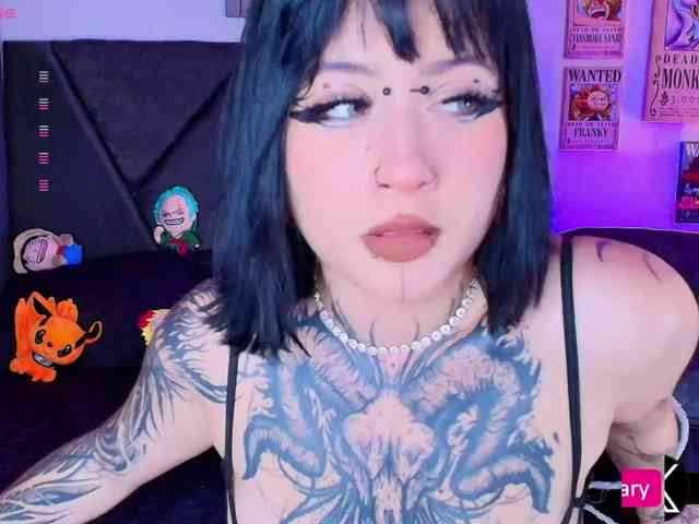 Aryrouse webcam