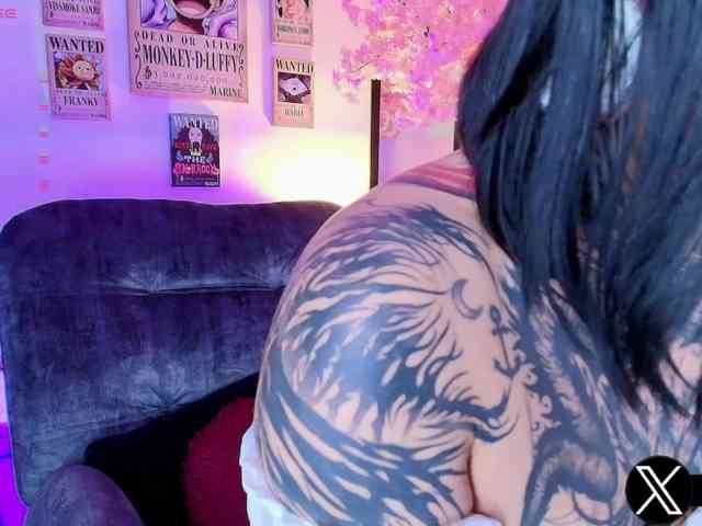 Aryrouse webcam