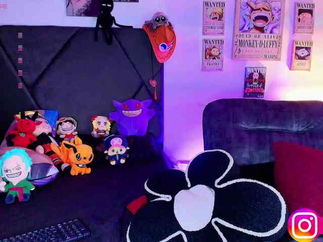 Aryrouse webcam