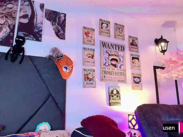 Aryrouse webcam