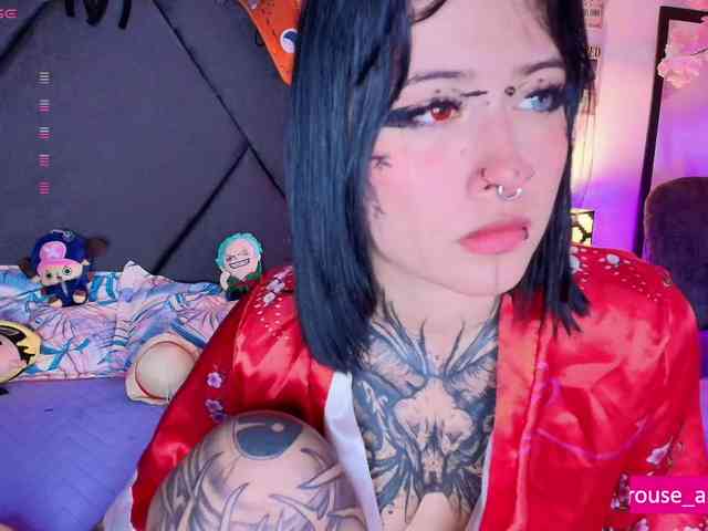 Aryrouse webcam