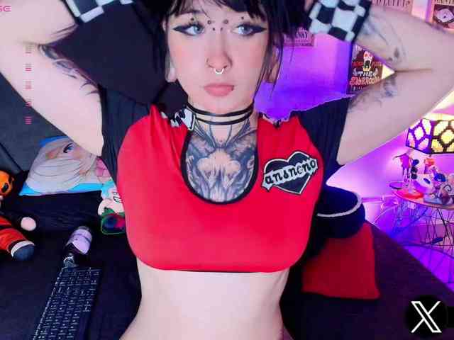 Aryrouse webcam