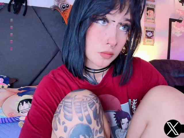 Aryrouse webcam