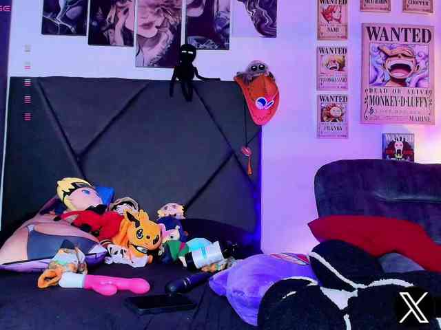 Aryrouse webcam
