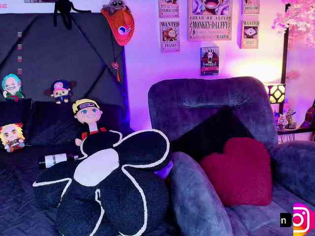 Aryrouse webcam