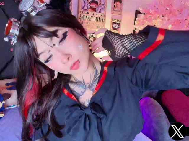 Aryrouse webcam
