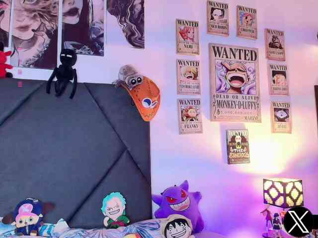 Aryrouse webcam