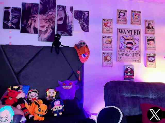 Aryrouse webcam