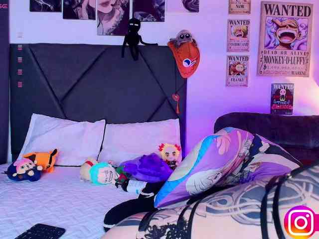 Aryrouse webcam