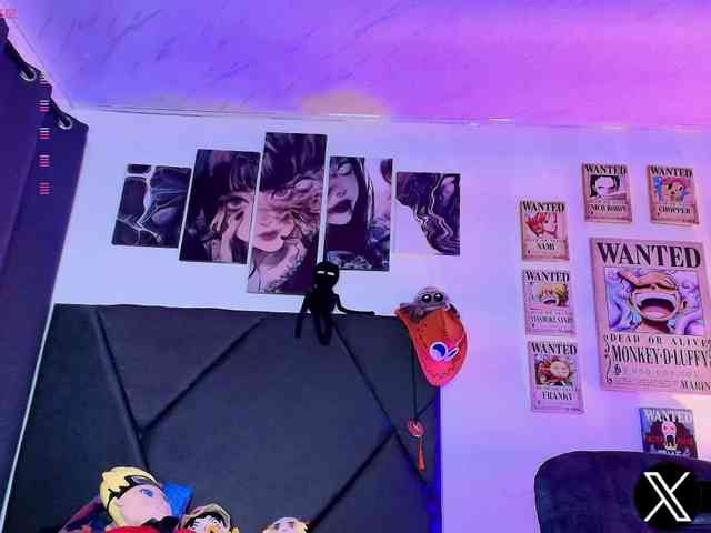 Aryrouse webcam