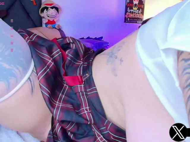 Aryrouse webcam