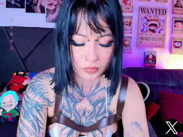 Aryrouse webcam