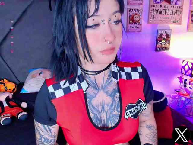 Aryrouse webcam