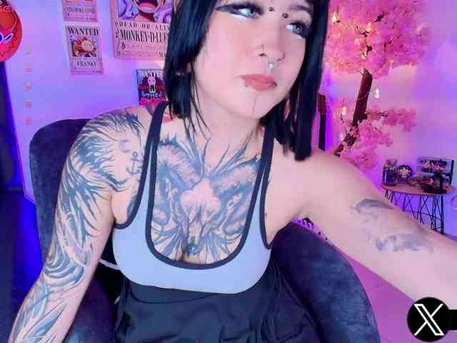 Aryrouse webcam