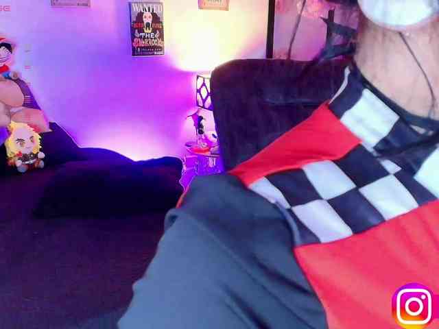 Aryrouse webcam