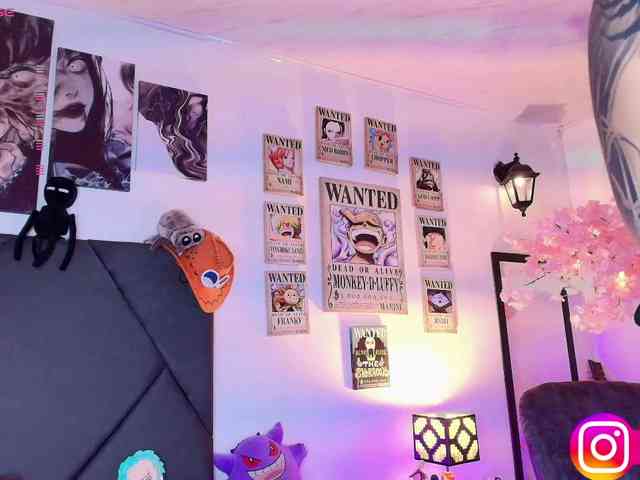 Aryrouse webcam