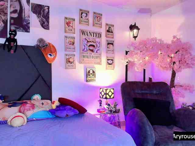 Aryrouse webcam