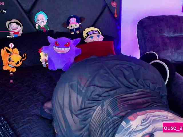 Aryrouse webcam