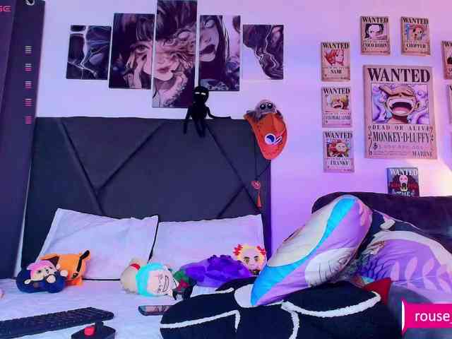 Aryrouse webcam