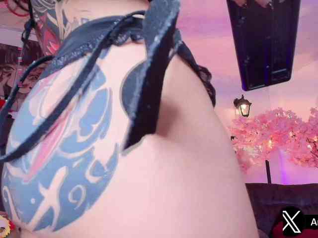 Aryrouse webcam