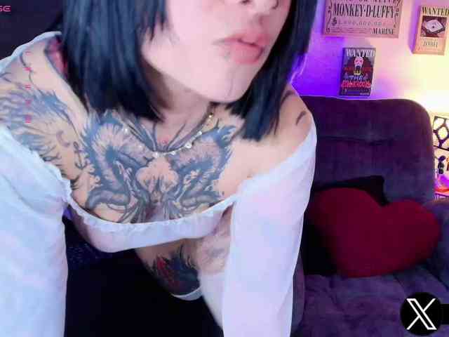 Aryrouse webcam