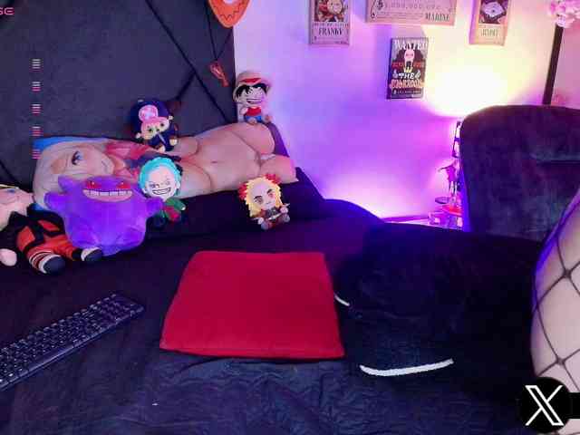 Aryrouse webcam